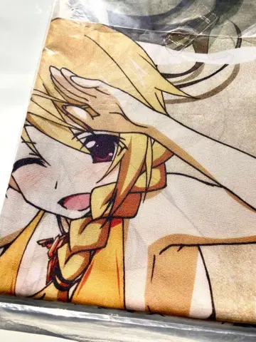 오리지널 특전: IS2 롱바케 천 포스터