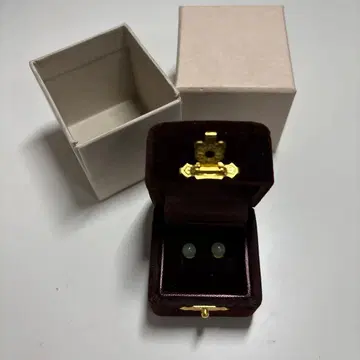 ete 그린 귀걸이 쥬얼리 박스 포함