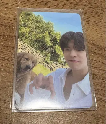 straykids 스키즈 승민 제주