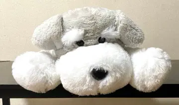 슈나우저 누워있는 봉제 인형