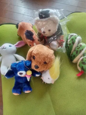 봉제 인형 세트 ( 개, 토끼, 말 등 )