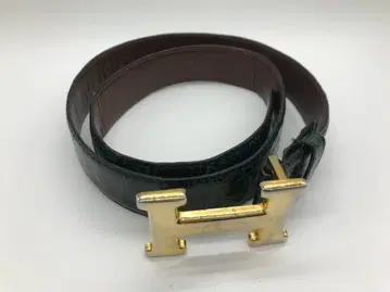 Louis Gaviria 벨트 크로커다일 그린 x 골드 계열