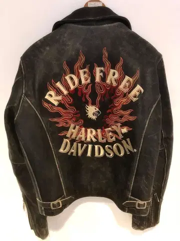 [ Harley-Davidson ] 할리 싱글 라이더스 파이어 L