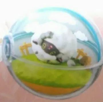 포켓몬 울 테라리움 컬렉션 HAPPY한 매일