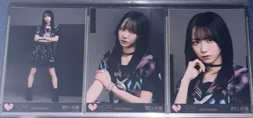 노구치 이오리 이코노이조이 2024 마지조 컴프 브로마이드 이코럽