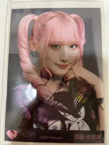 사이토 조이 생사진 친필 이코노이조이