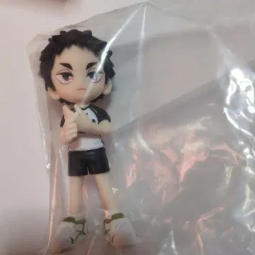 하이큐 팔버스2 palverse 아카아시