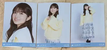 노기자카46 오가와 아야 카라 부착 코디 브로마이드 컴프