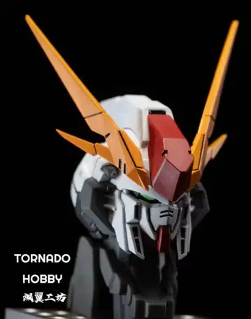 [ TORNADO HOBBY ] 1/144 크시 건담 커스텀 헤드
