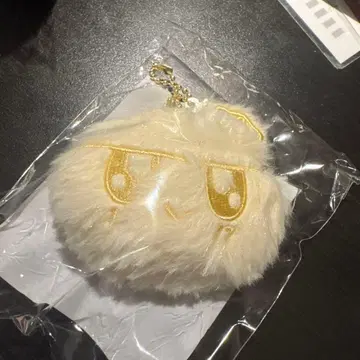 SEVENTEEN NEW_ 굿즈 봉봉이 키링 나고야