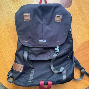 Patagonia 블랙 백팩