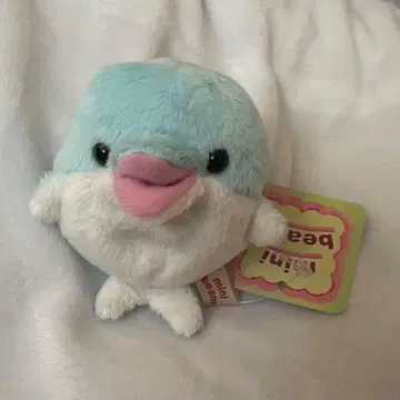 미니 콩 돌고래 봉제 인형