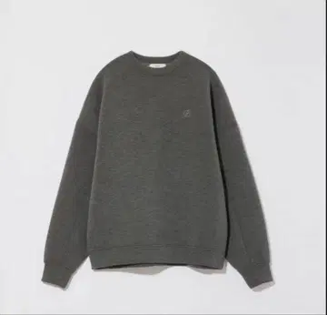 택 포함 eaphi 로고 맨투맨 그레이