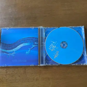 WONG WINGTSAN 푸른 용 CD