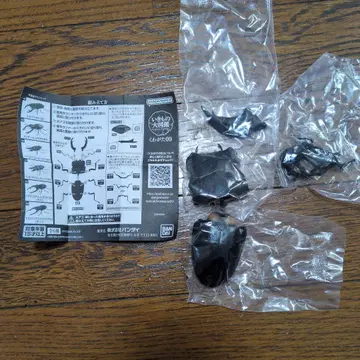 생물 도감 장수풍뎅이 09 오오쿠와가타 (개정)