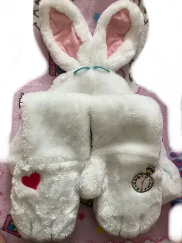 도쿄 디즈니 리조트 팬캡