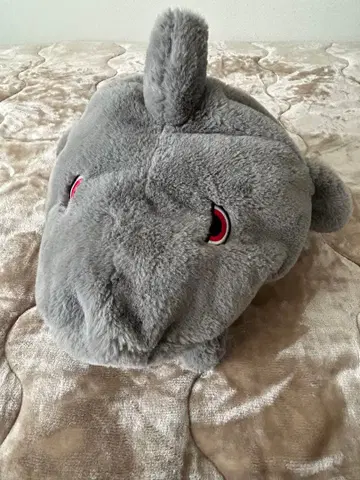 유니버셜 상어 모자