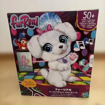 퍼리얼 산책하는 강아지