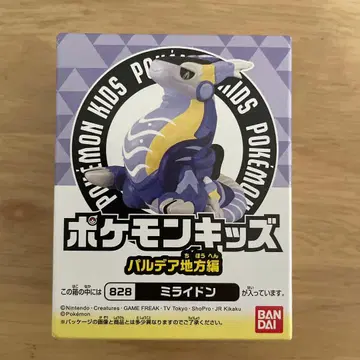 포켓몬 키즈 미라이돈 팔데아 지방 편