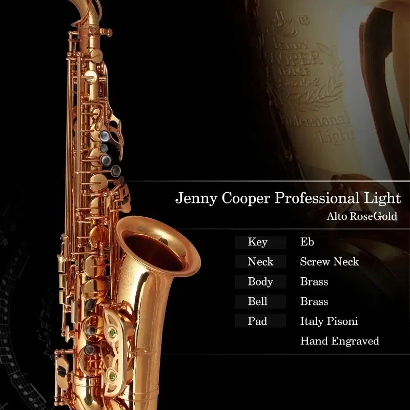 Alto saxophone special discount in the 2.5 million won range