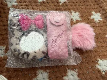 미니 거울, 립 케이스