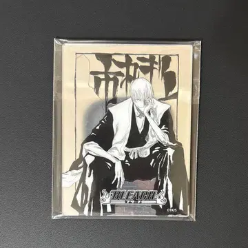 BLEACH 블리치 메탈릭 마그넷 컬렉션 이치마루 긴