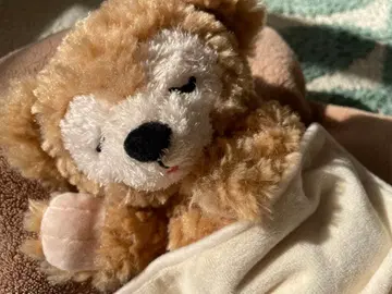 더피 Duffy's Sweet Dreams 봉제 인형 디즈니씨