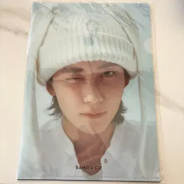 SEVENTEEN 세븐틴 정한 BANILA CO 클리어 파일 새상품