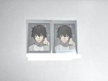 샤레마니 메이 포토 카드 낭독극