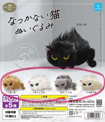 [선착순] 길들여지지 않는 고양이 봉제 인형 4종 세트 미개봉 새상품