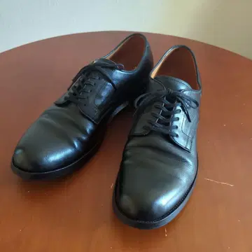 아치켈리 플레인토