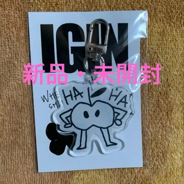 IGIN Jini's Lamp 아크릴 키링 BTS Jin 진 새상품