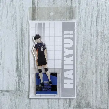 하이큐!! 카게야마 토비오 아크릴 스탠드