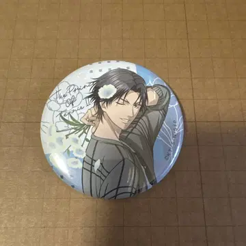 신 테니스의 왕자님 캔뱃지 컬렉션 풀 컬러