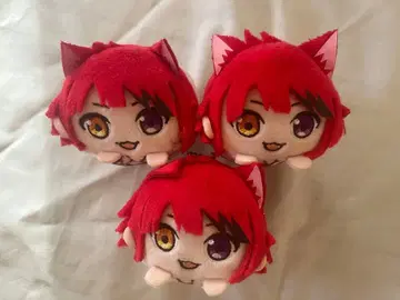 리이누 군 모치코로링