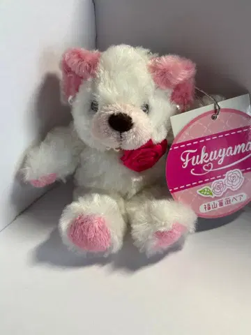 지역 한정 베어 후쿠야마 장미 베어 볼체인