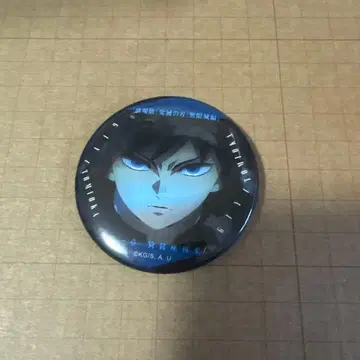 귀멸의 칼날 토미오카 기유 이야기가 담긴 눈빛 컬렉션 캔뱃지 A