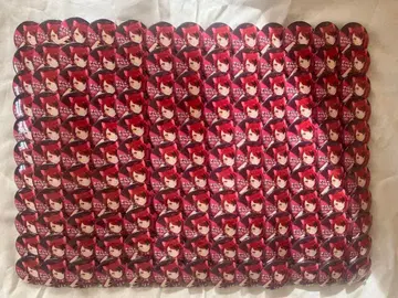 리견군 타임캡슐 캔뱃지 143개