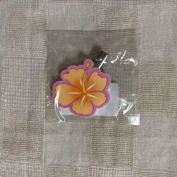 6시의 간식 나-나 하이비스커스 헤어핀