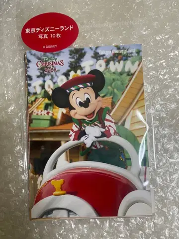 도쿄 디즈니랜드 크리스마스 사진