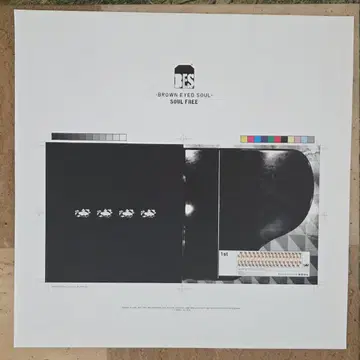 브라운 아이드 소울 1집 2LP (Brown Eyed Soul) | 브랜드 중고거래
