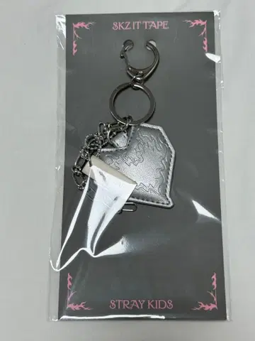 StrayKids 스키즈 POPUP Do it 키링