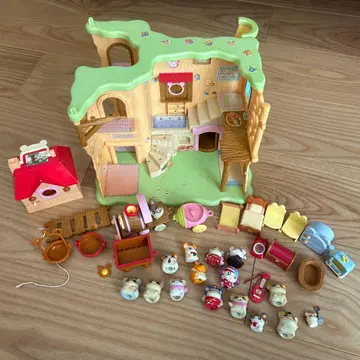 하무챤즈의 지하 하우스