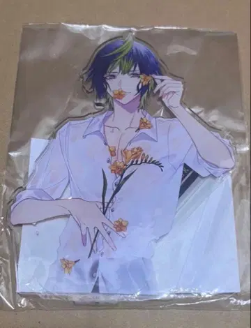 with flower 아크릴 스탠드 케이사이인 F 루키