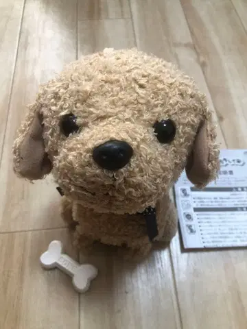 코코 거꾸로 서서