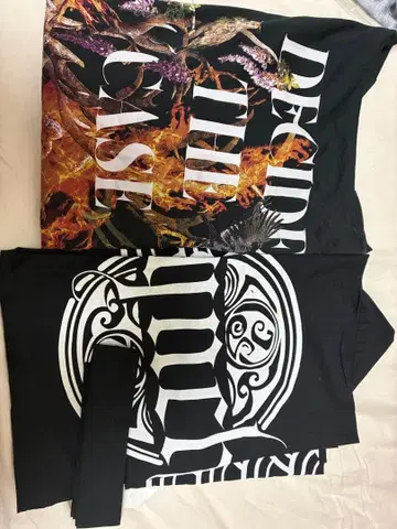 lynch. 하피 래쉬가드 T셔츠 세트 6점 세트