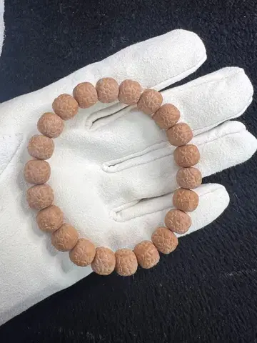 루드라크샤 [찬란한 별 강] 형 원숭이 머리 호두 보리 JST25093