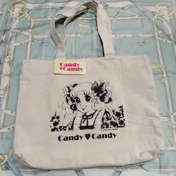 캔디캔디 토트 캔버스 천 미즈키 쿄코 이가라시 유미코 포피