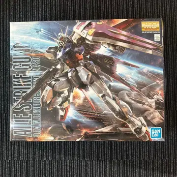 MG GAT-X105 에일 스트라이크 건담 Ver.RM