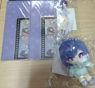 프로세카 하피콜레 아사히나 마후유